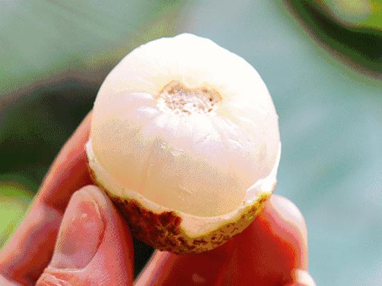 荔枝病为什么那么多,如何缓解荔枝病