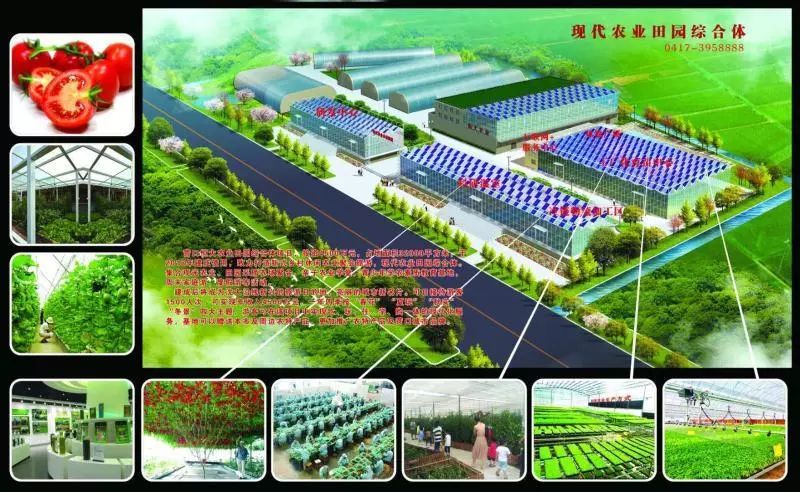 恒大品牌故事,辽宁足球故事完整版