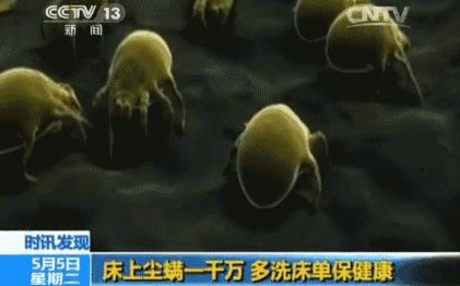 好用的去螨虫喷雾推荐,除螨喷雾排行第一名神器