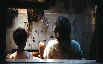 轻轻一喷快速消灭螨虫,车内蟑螂怎么消灭