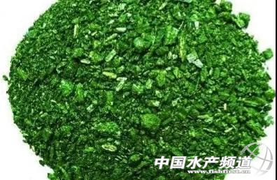 鍏村寲缃氭浜嬩欢,鍏村寲姹℃煋缃氭