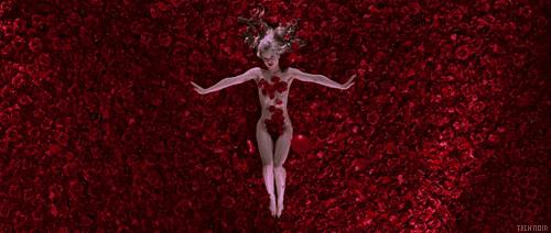 法国花水怎么样,法国花水