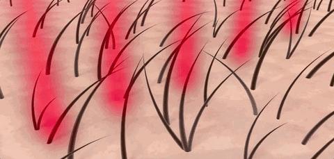 推荐一款真正的防脱发洗发水,推荐一款防脱发洗发水女士