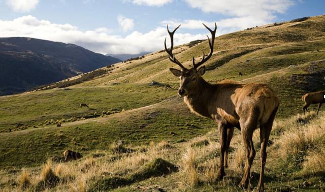 穿过最舒服的鞋是什么牌子,穿过最舒服鞋
