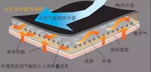 网红都在穿的矫正驼背内衣,能解决驼背的内衣