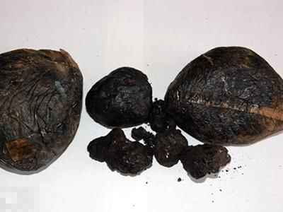 国家禁毒的基本知识,关于国家毒品方面的知识