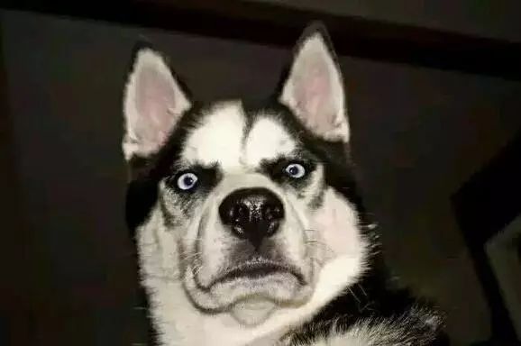 微软云游戏,游戏玩多了手机容易卡吗