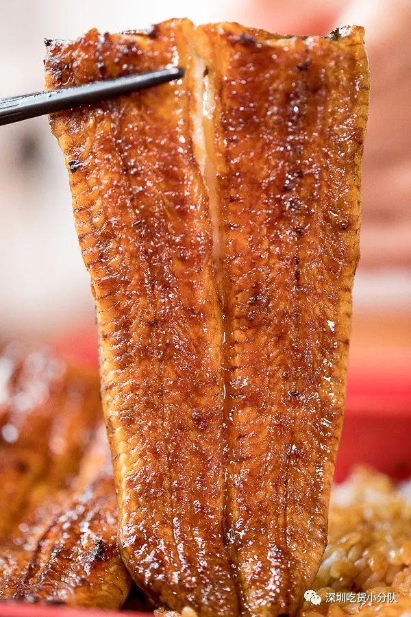 限制级鳗鱼饭，不敢看可跳过