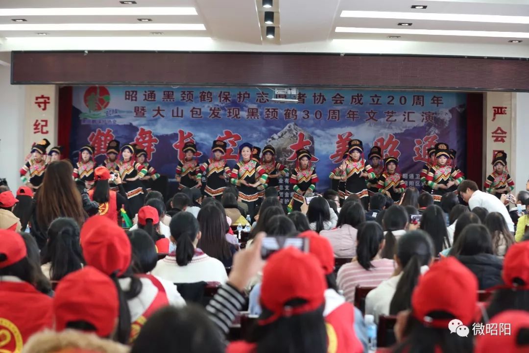 历经20载风雨，为黑颈鹤筑一个温暖的家