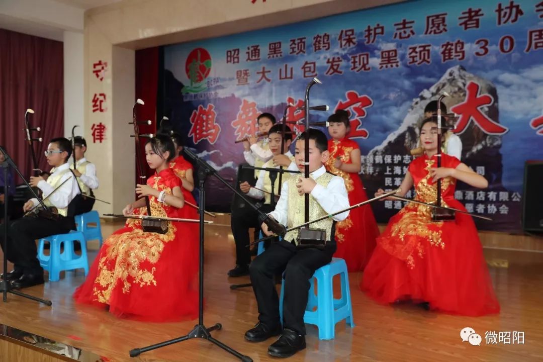 历经20载风雨，为黑颈鹤筑一个温暖的家