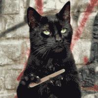 深圳迪拜飞机航线,深圳直飞迪拜航班有哪些