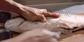 2000亿的细菌,哪种菜板不容易滋生细菌