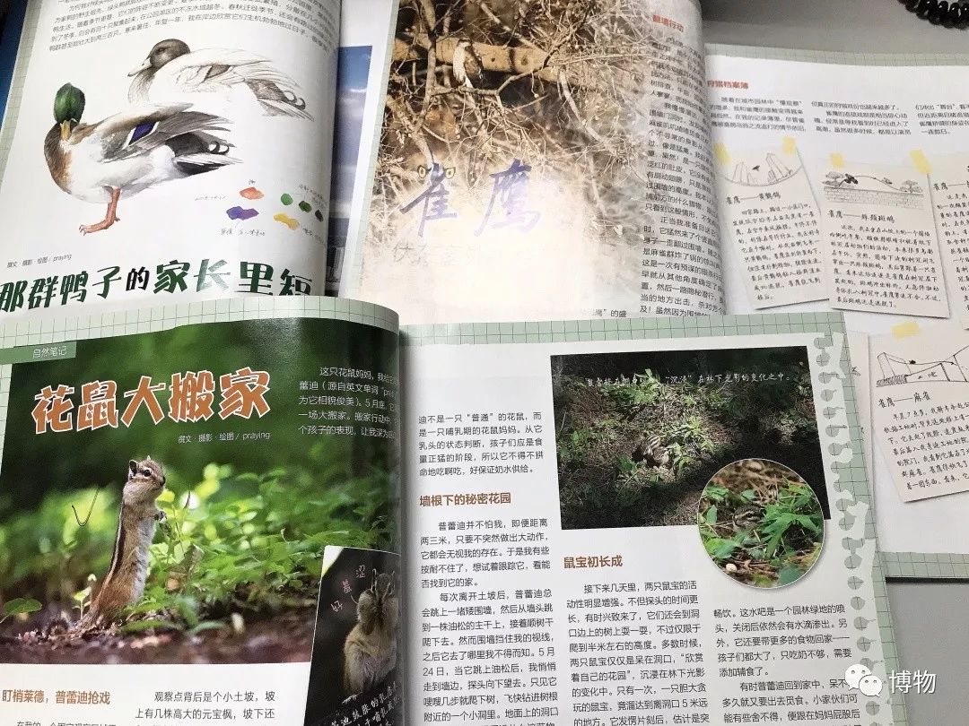 想跟博物一起外出采风？春节我们滇西见