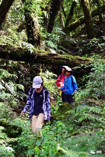 想跟博物一起外出采风？春节我们滇西见