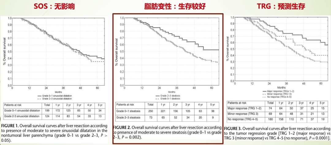 肿瘤化疗药物性肝损伤诊治指南,化疗对弥漫性肝损伤有影响吗