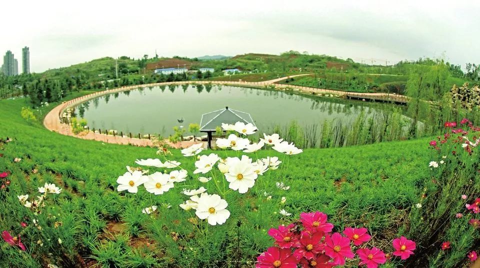 魅力中国城崇左vs大足视频,魅力中国城让你知道