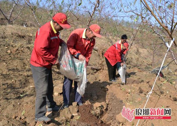 临沂全面乡村振兴注入强劲动力,临沂市高新区乡村振兴示范