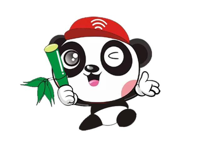 中国少年先锋队第三届少代会提案,少代会中国少年先锋队