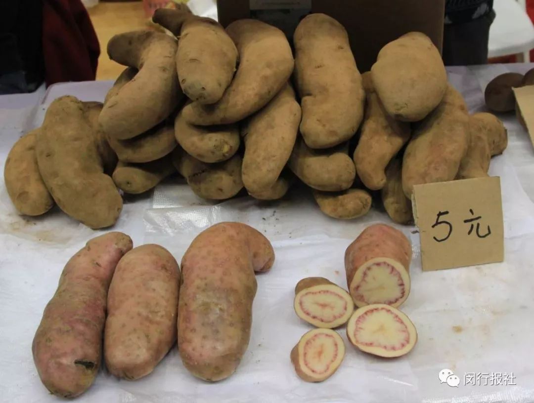 买到吃到就是爱！喀什灰枣、高原土鸡……千种特产来闵行，抓紧吧！