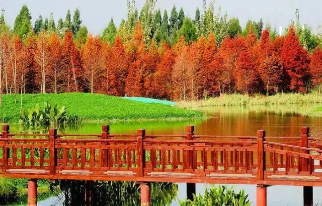 昆明西北新城公园,昆明宜家最新规划图