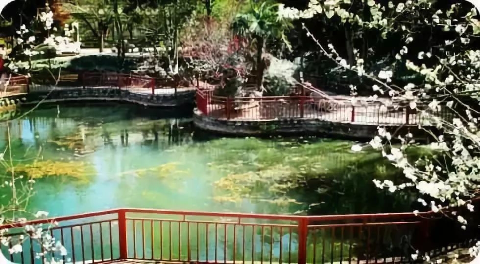 昆明西北新城公园,昆明宜家最新规划图