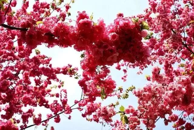 昆明西北新城公园,昆明宜家最新规划图