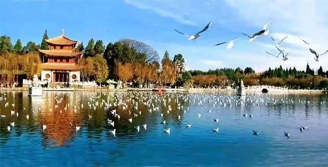 昆明西北新城公园,昆明宜家最新规划图