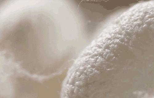 藏在美裙下的谨慎思：天然蚕丝，轻柔如空气，限时99/6条