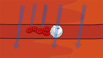 挥拍类运动为啥对血汗管有好处,挥拍运动抗癌