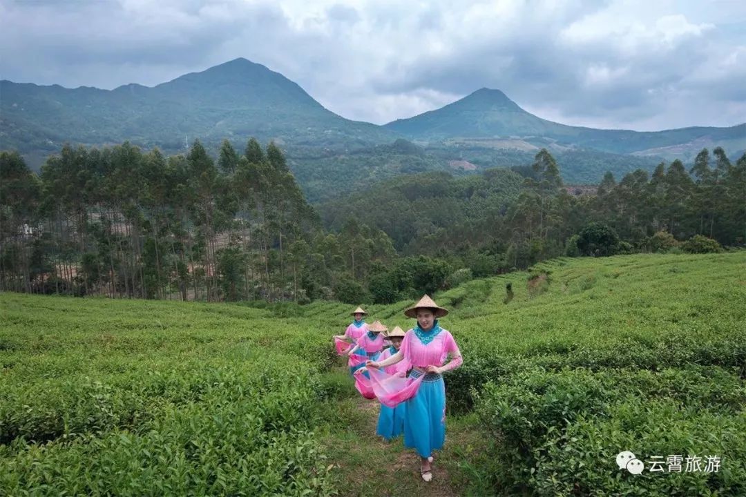 云霄大自然,游云霄旅游攻略