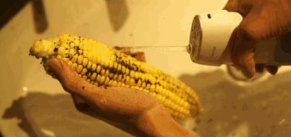 牙龈肿了出血口臭牙黄用什么牙膏,牙龈上火牙膏