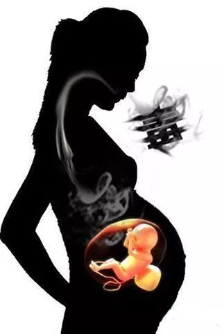 一分钟禁毒小知识,禁毒知识吸毒主要是谁的责任