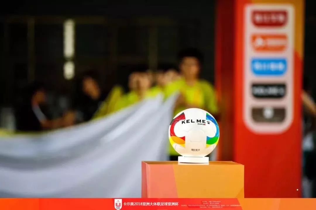 卡尔美卡塔尔亚洲杯足球,卡尔美亚洲杯决赛足球