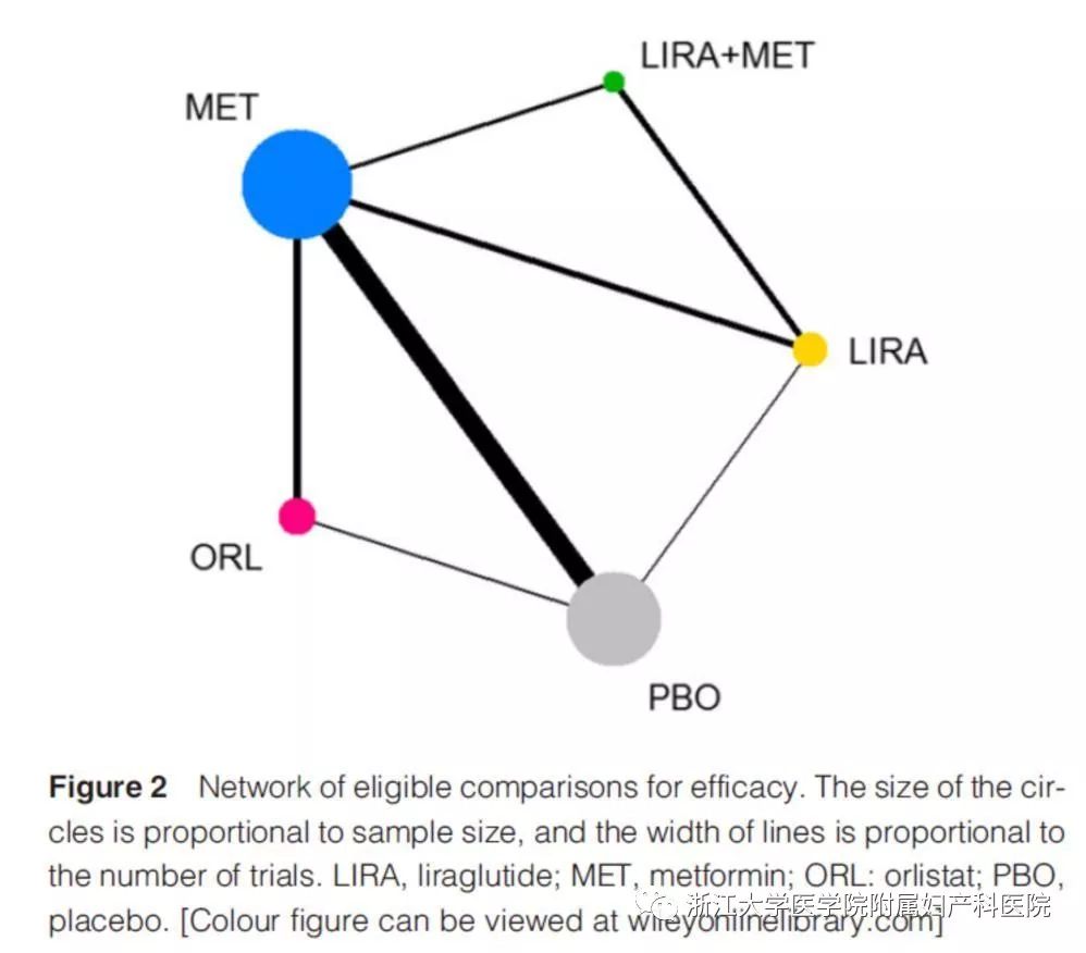 浙大妇院这个团队研究减肥，不仅让多囊卵巢患者怀孕，还发表世界顶尖期刊论文！