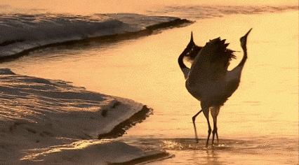 北半球的我突然向往南半球的温暖