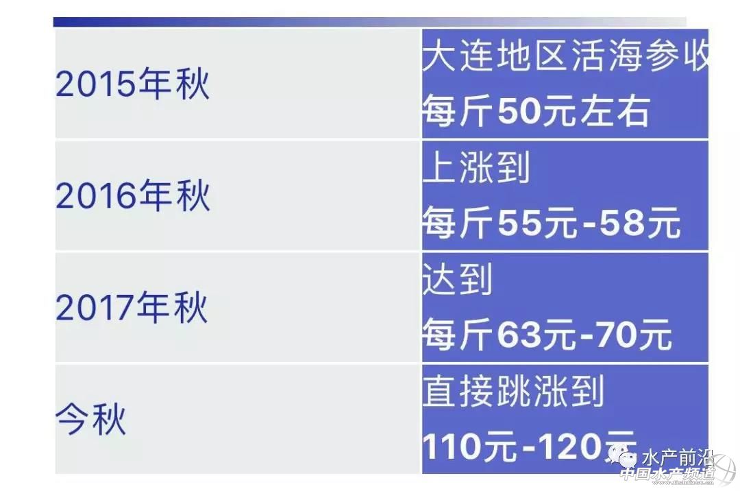 海参最低多少钱一斤,120斤野生海参价格