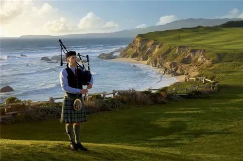 全球最有意思的11个酒店职位：松露猎手、日落风笛手、美人鱼指导员……你知道多少？