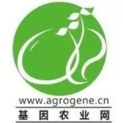 基因编辑在农学上的应用,基因编辑技术在家畜育种中的应用