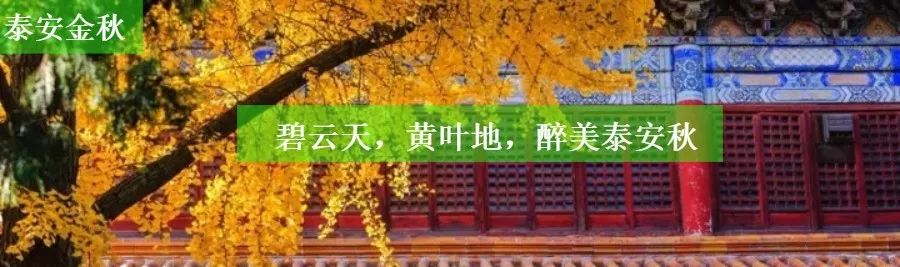 泰山温泉城有什么,泰山温泉城真实事件