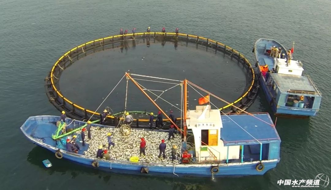 养殖产量和捕捞产量比例关系,养殖产量与经济效益密切相关