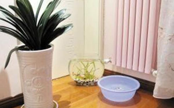 秋季室内干燥怎么办？快来试试这6招