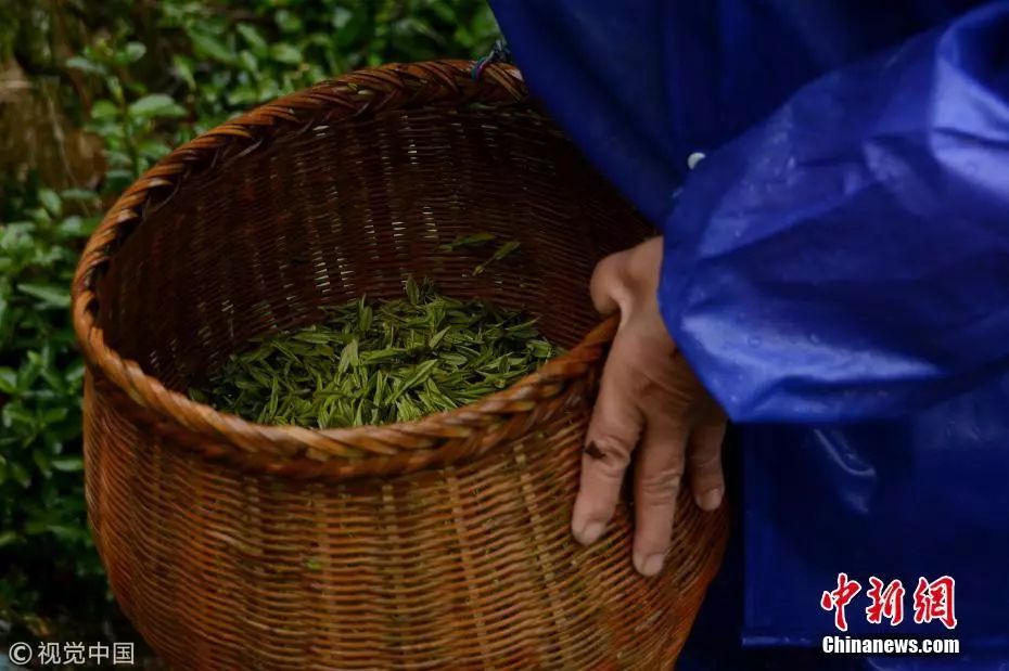 友谊中要关注什么,友谊消化科普