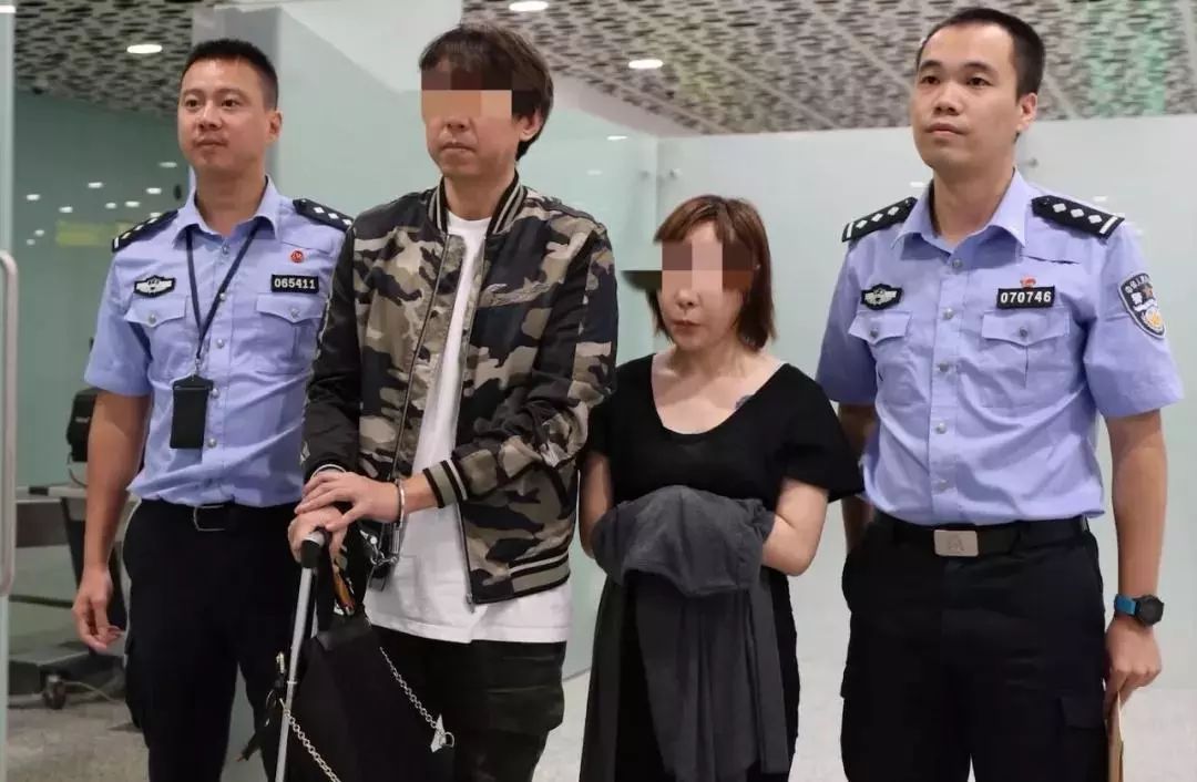 网红猫娘真假揭秘,网红猫娘罚款