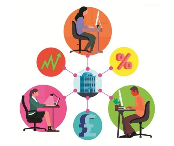 网红猫娘真假揭秘,网红猫娘罚款