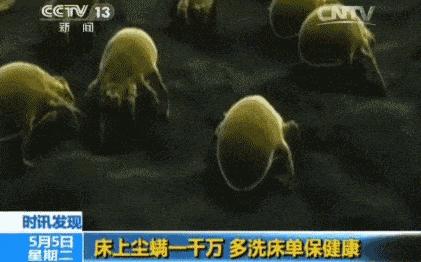 蚕丝被不盖怎么处理,盖蚕丝被的好处还是坏处