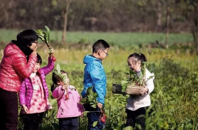 补冬不如补霜降养生必懂小常识,霜降应该怎么补