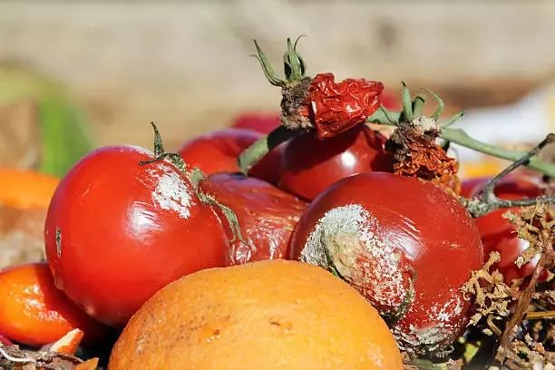 奶奶给孙子吃过期食品吃出事,奶奶误给孙子吃鱼中毒