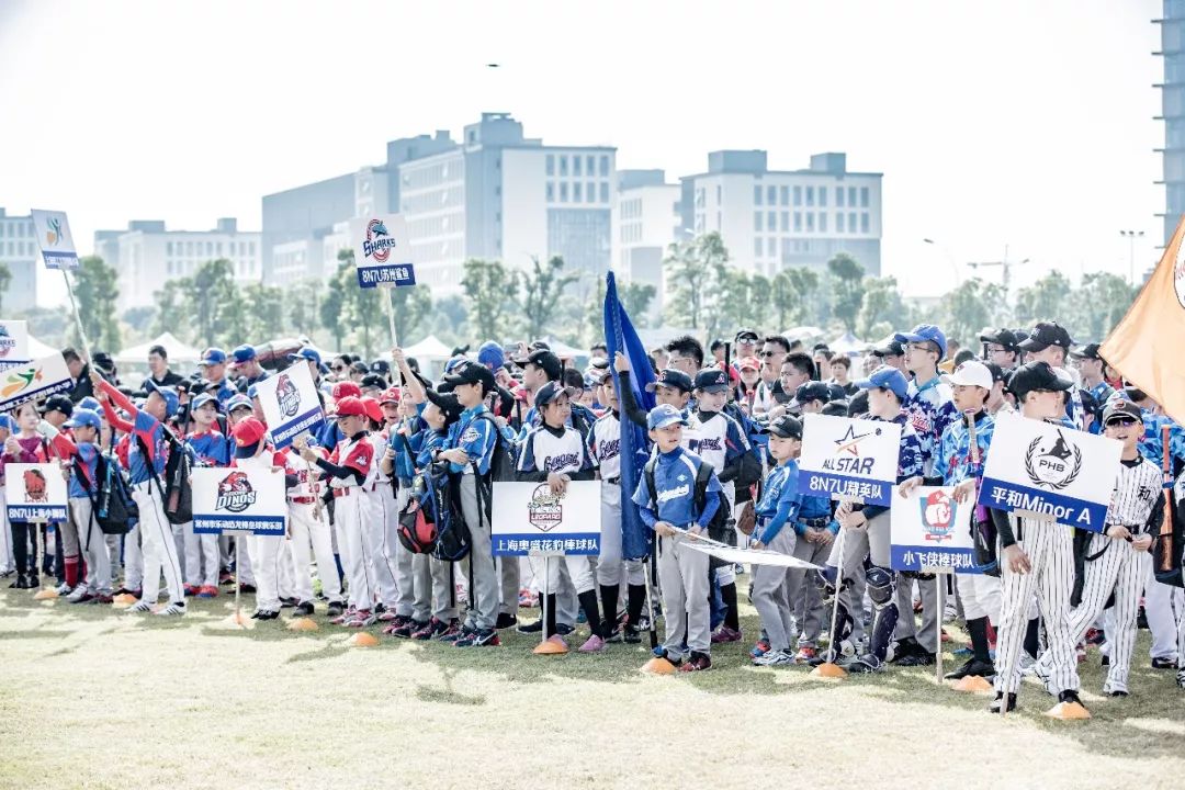 棒球培训,美国棒球培训