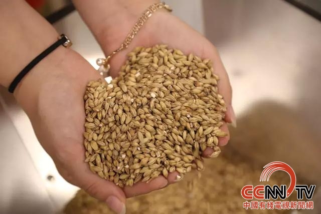 唐山啤酒节,河北唐山音乐节