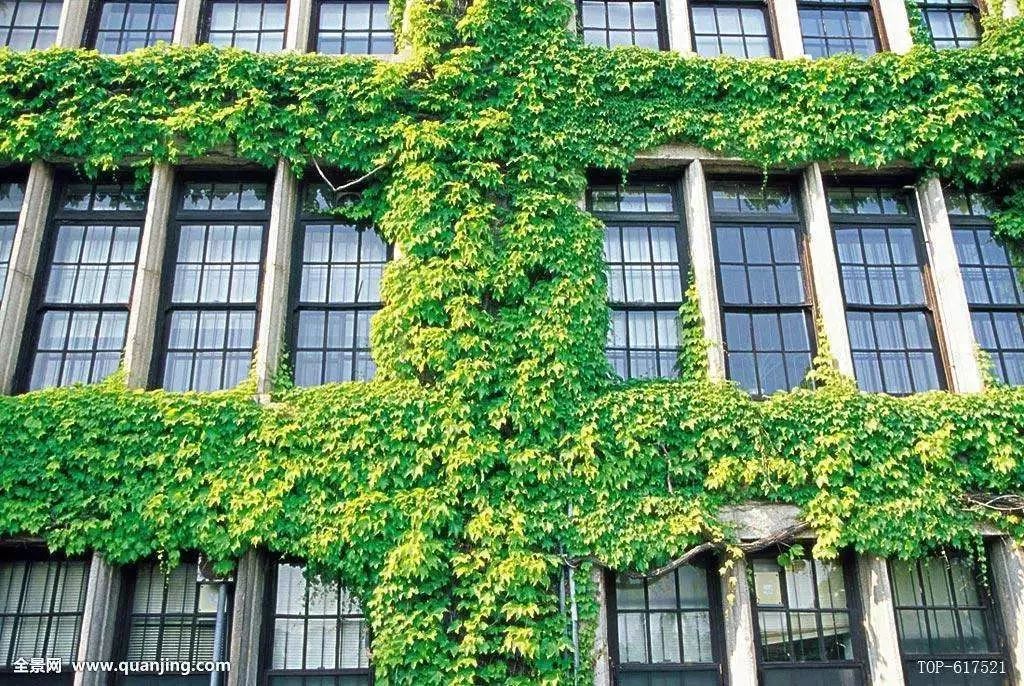 大一挂科了还有必要努力吗,大学挂科是不是一件挺难过的事情